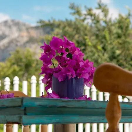 Hotel Olya Boutique Beldibi (Kemer)