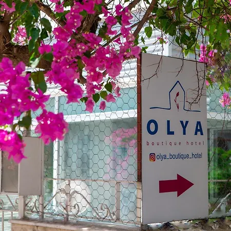 Hotel Olya Boutique *